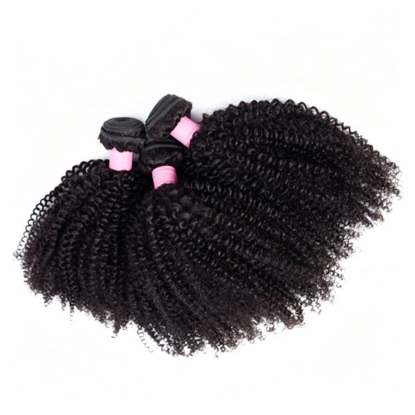 Afro Curly Virgin Hair Afro Curly Virgin Hair