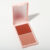 Cheek Perfect Blush Duo Palette Peach Me